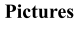 Pictures