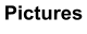 Pictures